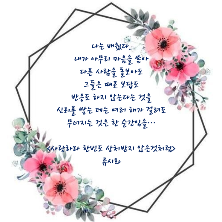  좋은글 사랑하라 한번도 상처받지 않은것처럼 류시화