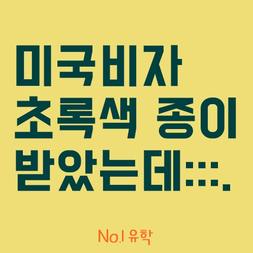  미국학생비자 초록(거절)종이를 받았는데 어떻해요?/'청주유학원' 미국비자