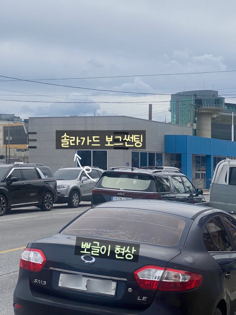 강원도 삼척항맛집 산희네 횟집 회포장해서 먹기 : 네이버 블로그