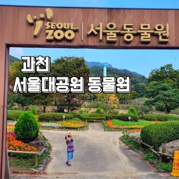 아이랑 단둘이서 서울대공원 동물원(입장료,리프트,무료순환버스)