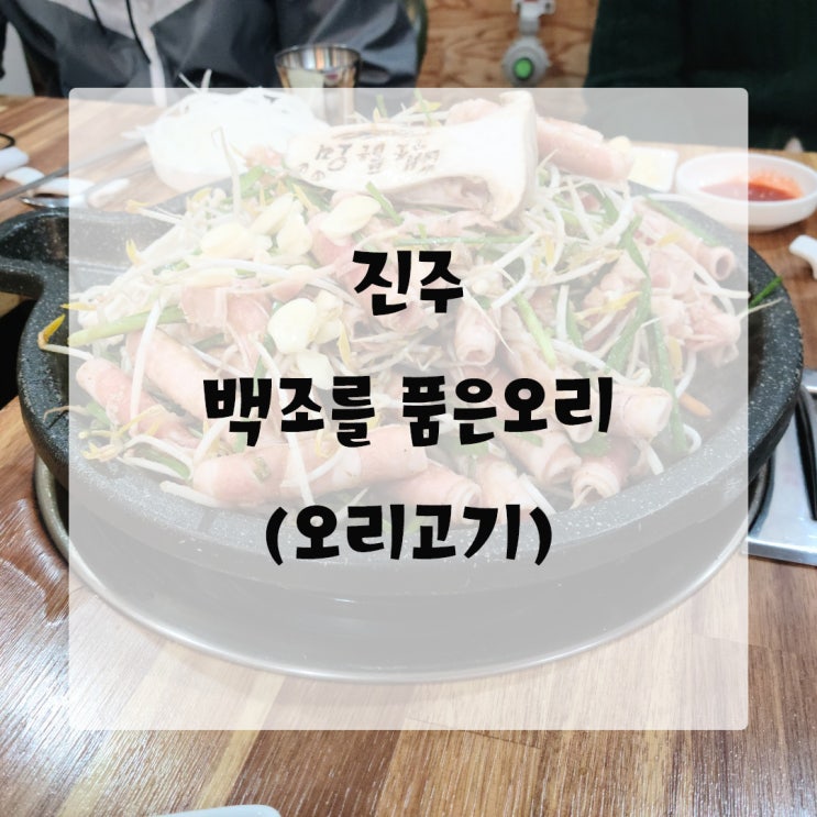  [진주/칠암동]백조를 품은오리, 오리고기 무한리필집 점심특선도 괜찮네요!!!