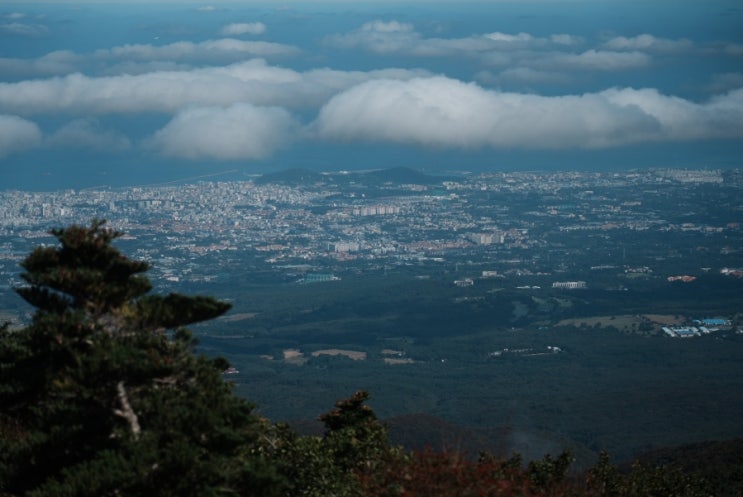  제주도 가을 한라산 관음사 성판악코스 단풍 여행