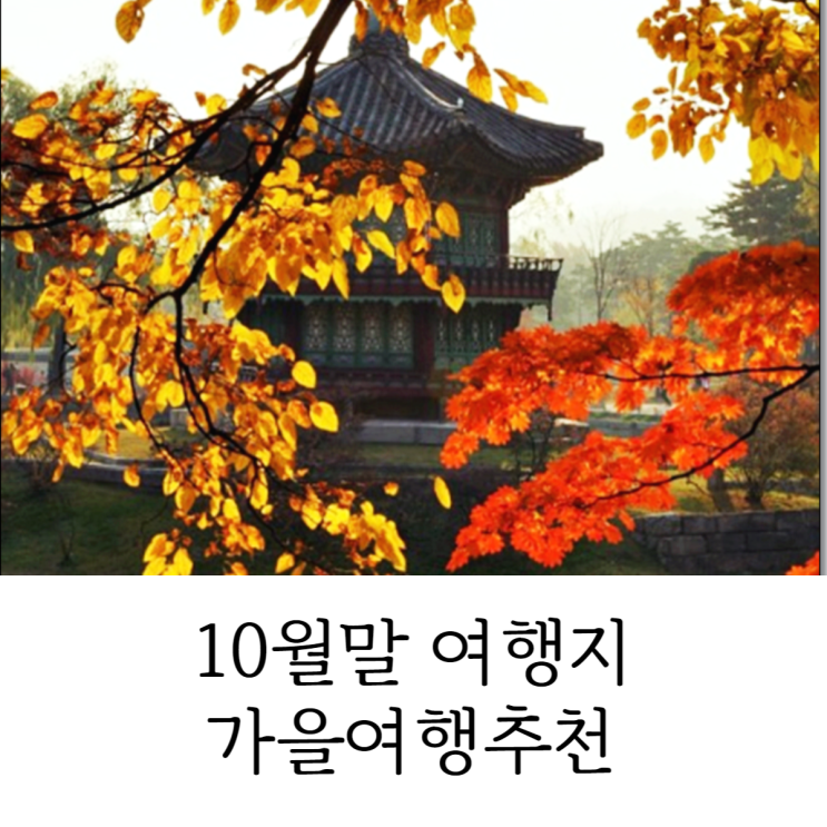  10월말 여행지 가을여행추천 여기라면 후회 없어요!