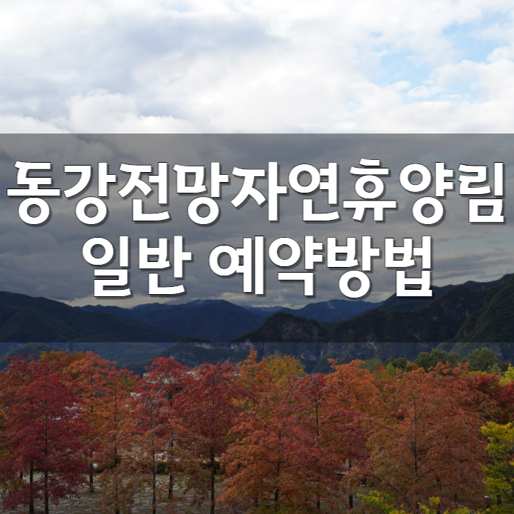  강원도 정선 오토캠핑장 추천. 동강전망자연휴양림캠핑장 후기. 예약하는 방법.