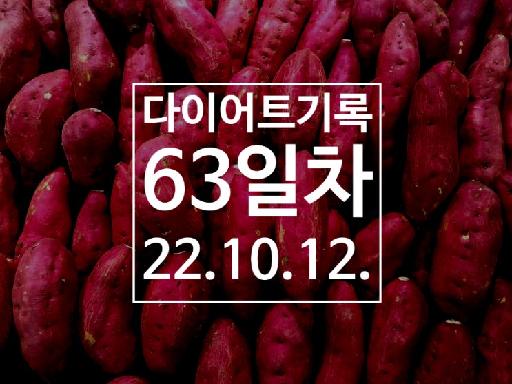  [다이어트DAY63] 겨울은 고구마로 살찌우는 계절