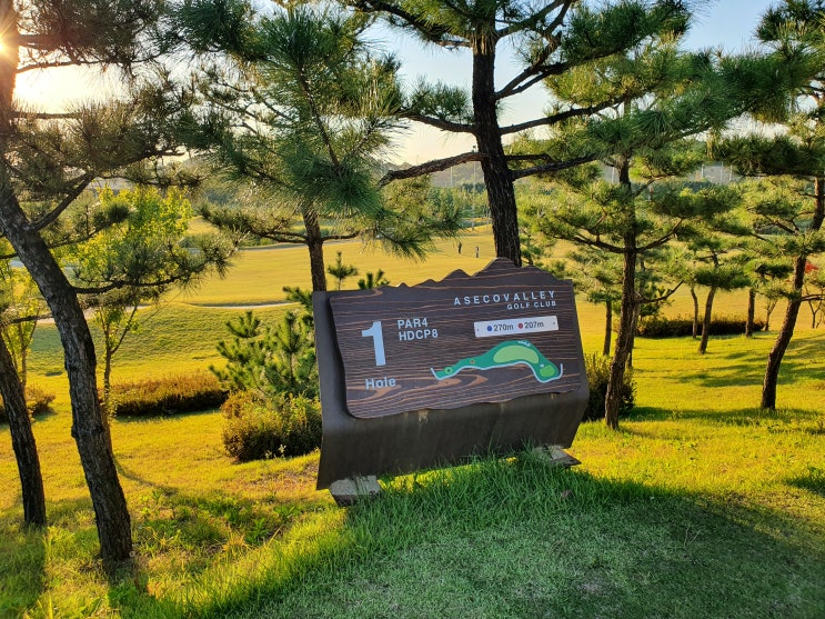  [아세코밸리GC] 경기 시흥시 아세코밸리골프클럽GC 야간 라운딩. 물왕호수 맛집. [담원한정식], [예원한정식], [본가만두전골]