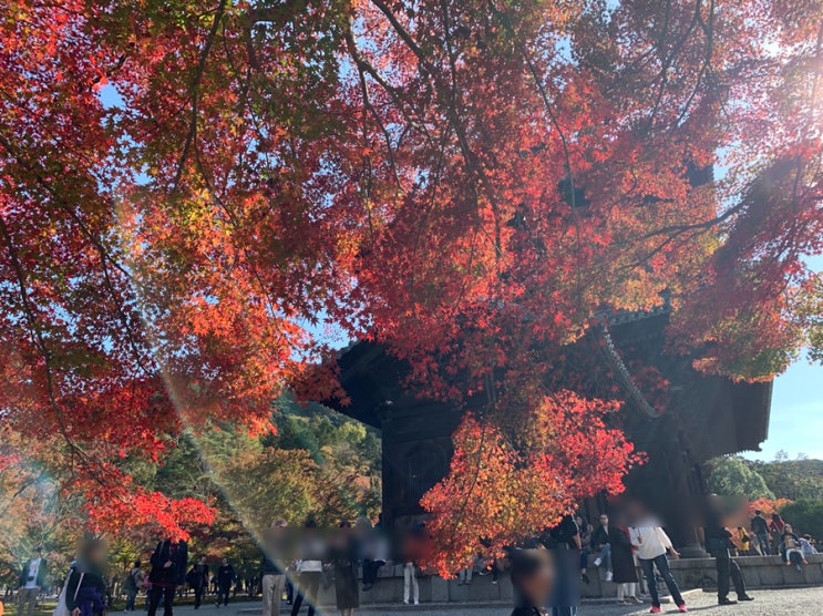 2018.11 - 교토 단풍 여행 ㅣ 에이칸토, 난젠지, 철학의길,청수사