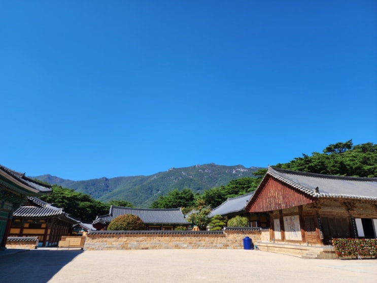  너무나 예뻤던 경남양산 통도사 :)