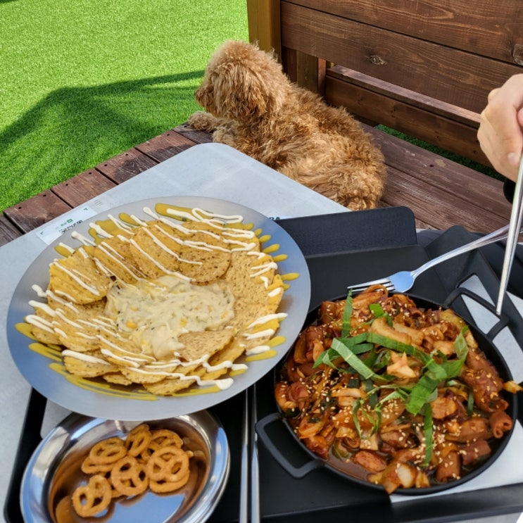  행궁동 애견동반 카페&펍 루프탑이 멋진 카페[루프독스]