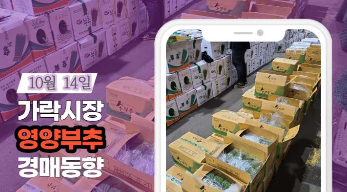  [경매사 일일보고] 10월 14일자 가락시장 "영양부추" 경매동향을 살펴보겠습니다!