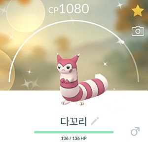 [포켓몬 GO]꼬리선 이로치 진화 다꼬리 이로치 Get