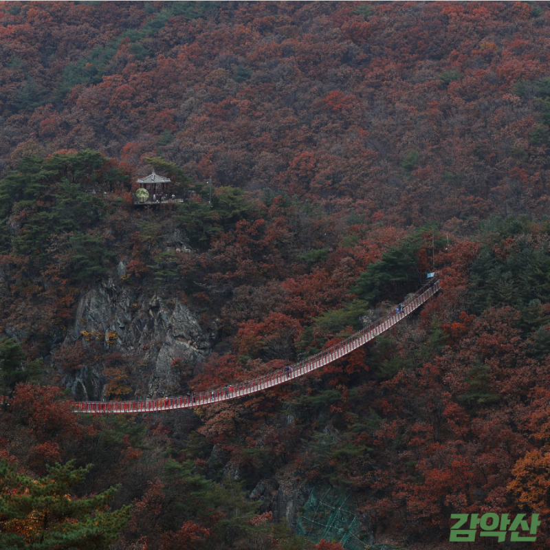 가을 전국 단풍 명산 TOP12 단풍 시기와 추천코스 : 네이버 블로그