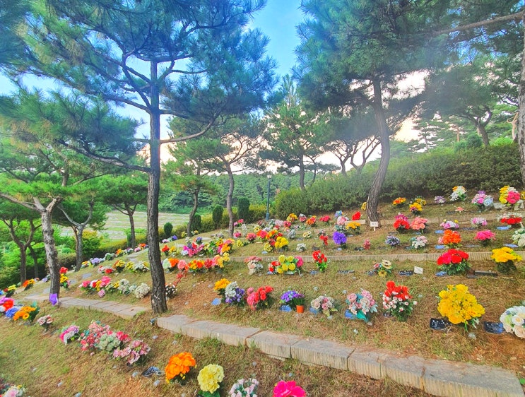  무덤 종류 수목장 납골당 장단점 알아보겠습니다