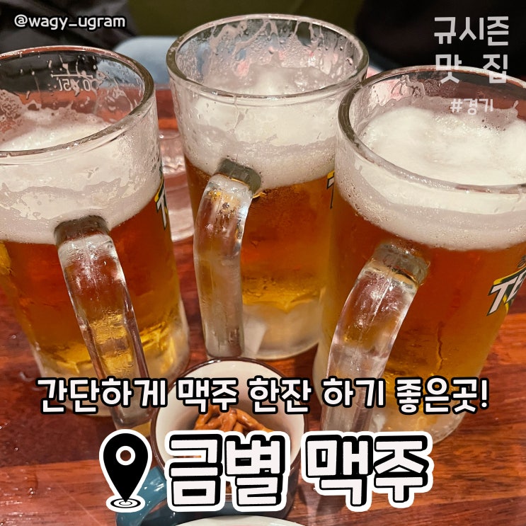  경기도 부천 맥주 맛집 금별 맥주 리뷰