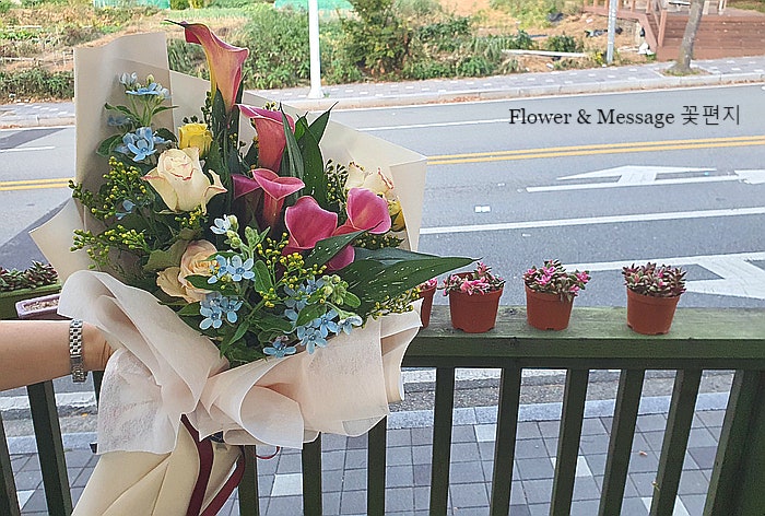천년의사랑 카라혼합꽃다발 양산 서창 덕계 꽃집 꽃편지