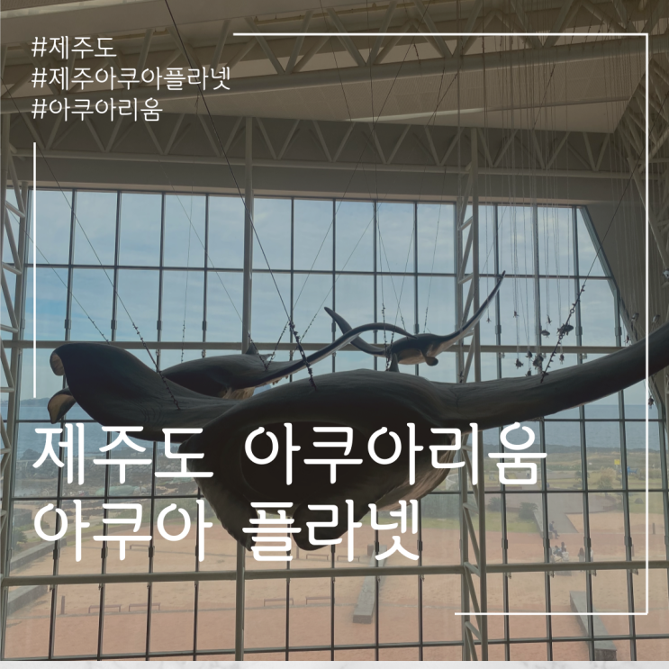  제주 아쿠아 플라넷 아이와함께~!