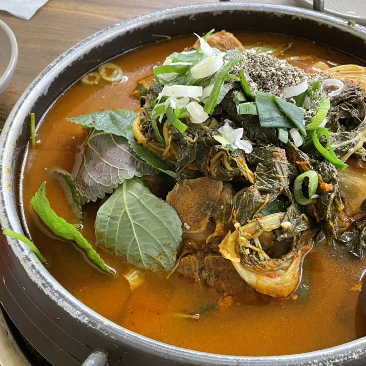  이번주 맛도리는 이대조뼈다귀 감자탕!