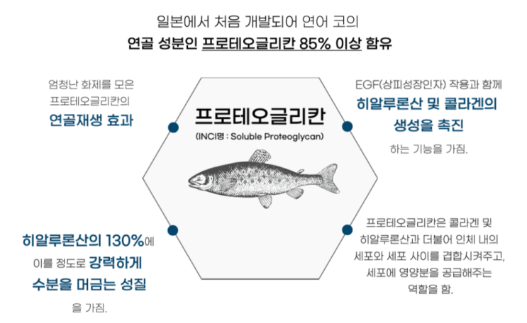 프로테오글리칸 연골 영양제 실패없는 관절건강이란?