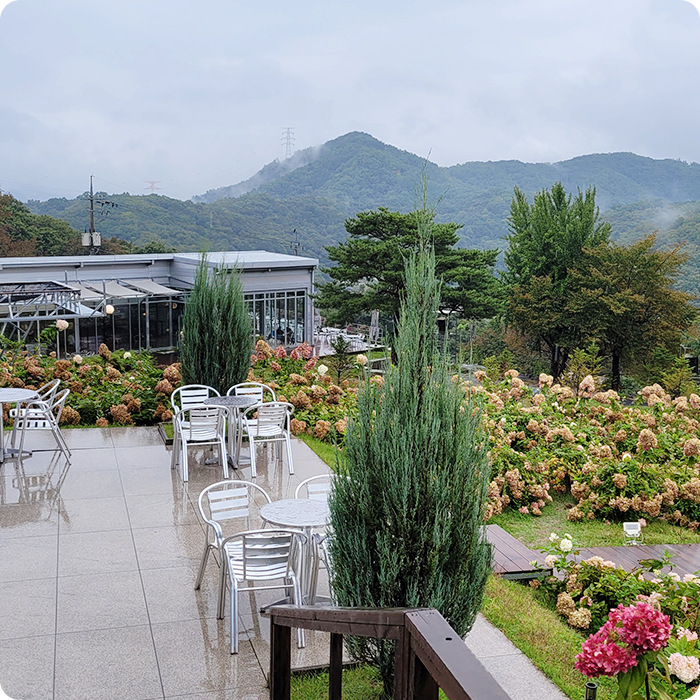 남양주 별내 비루개 식물원 카페에서 힐링하고 왔어요! 남양주 별내 비루개 식물원 카페에서 힐링하고 왔어요!