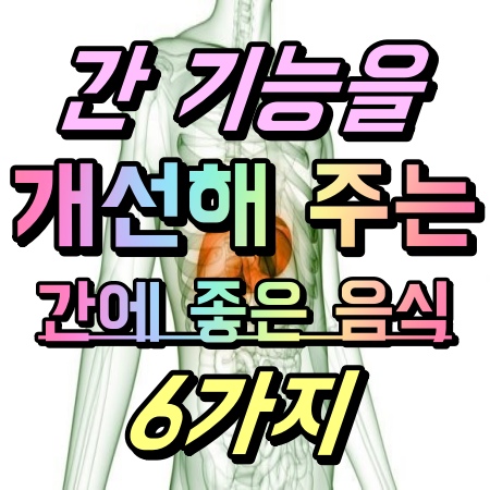  [영등포헬스장 / 영등포PT / 영등포에이블짐] : 간 기능을 개선해 주는 간에 좋은 음식 6가지