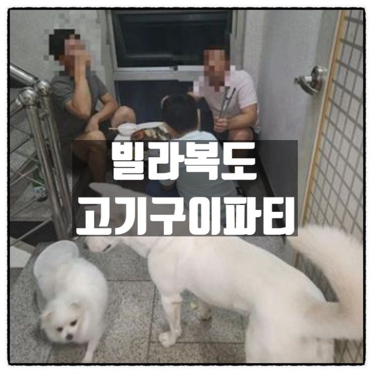  공용공간 빌라 복도에서 숯불 고기구이 파티 한 남성들