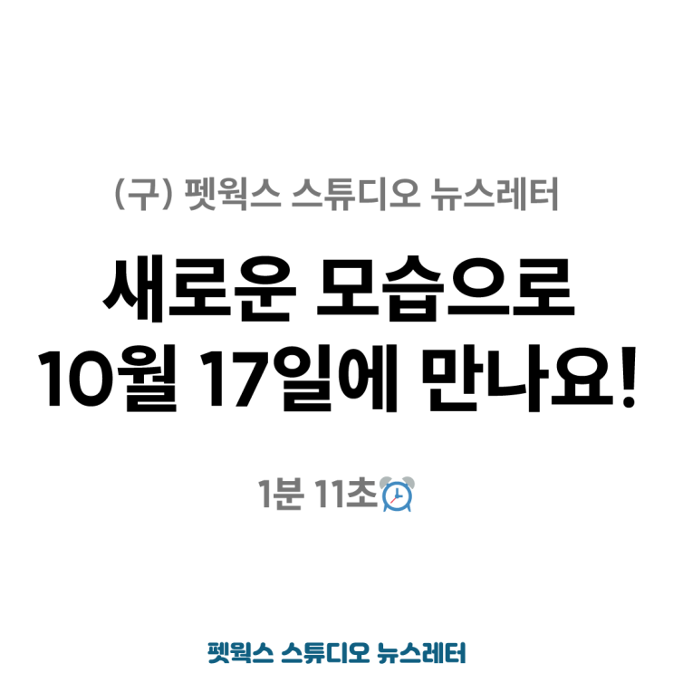  펫웍스 스튜디오 뉴스레터가 새로운 모습으로 리뉴얼돼요.