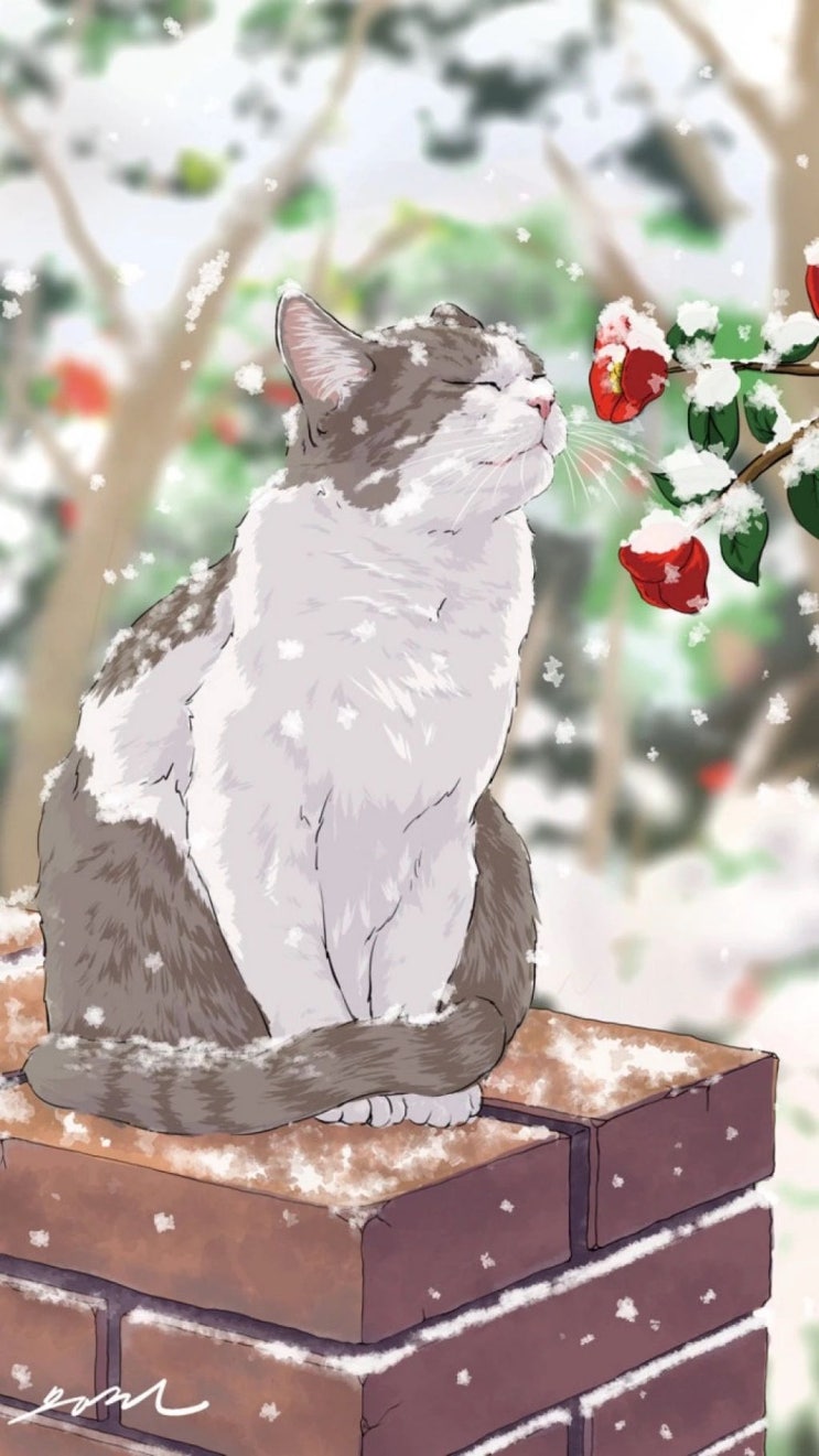 블로그를 키우기 위해서 체험단 포스팅이 필수라고?