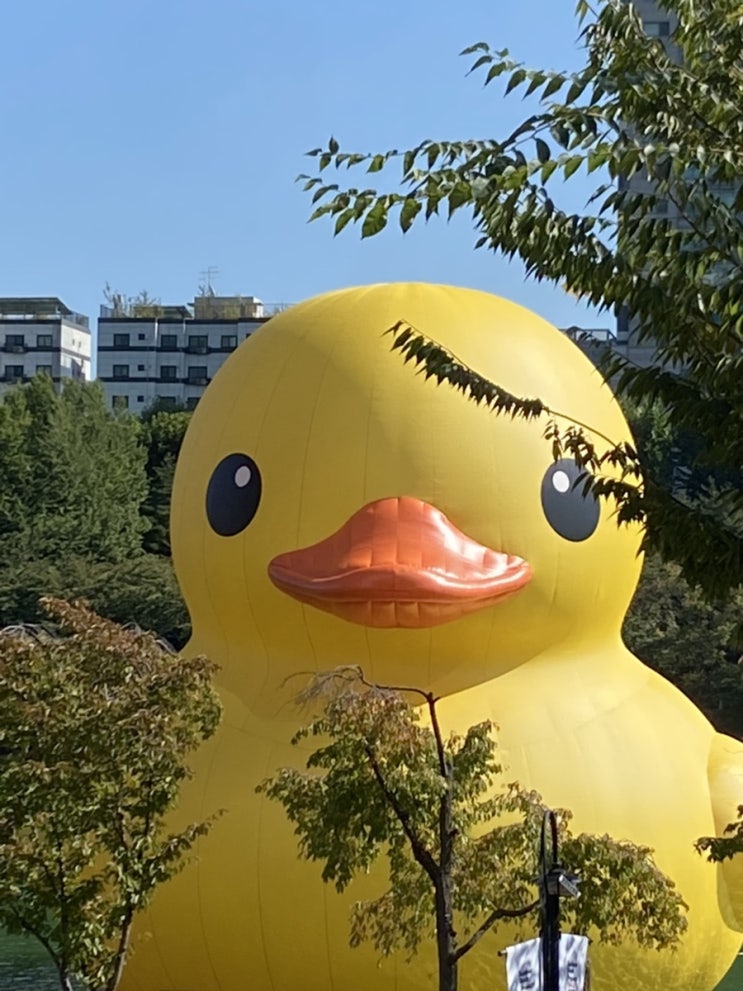  잠실 석촌호수 _ 러버덕 / 롯데월드타워 러버덕 즐기기