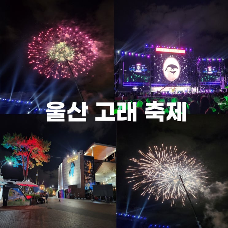  울산 고래축제 개막식 가을축제로 제대로인데~ 순환버스, 주차장, 정동원 노래, 불꽃축제