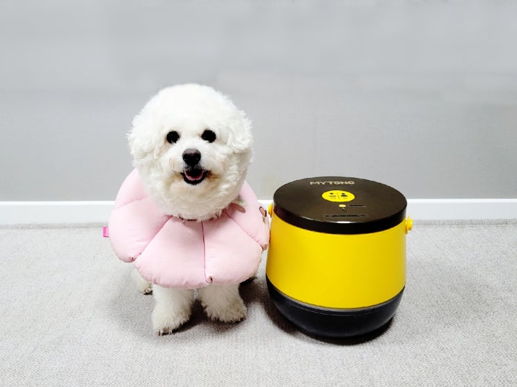  강아지 사료보관통 추천! 마이통 무선진공 대용량 사료통으로 신선하게