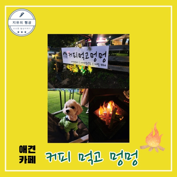  용인 애견카페ㅣ커피 먹고 멍멍ㅣ새벽 늦게까지 하는 운동장과 불멍! 내돈내먹 솔직후기~