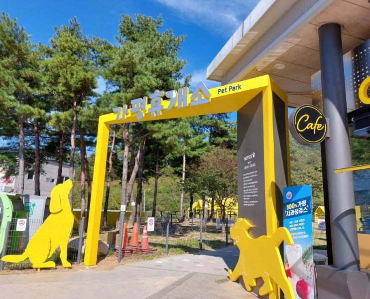 가평 애견카페  옐로우스탑 Yellow Stop  가평휴게소 Pet Park