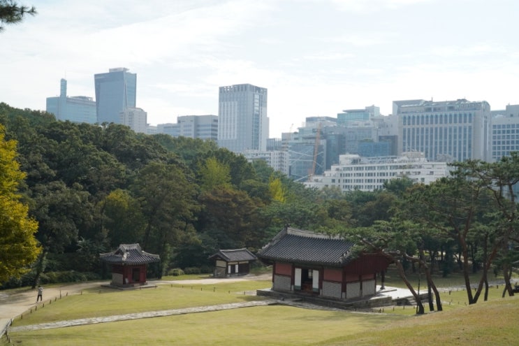  서울 산책하기 좋은 곳 추천 선정릉 공원 도심속 힐링 장소 처음 방문기.