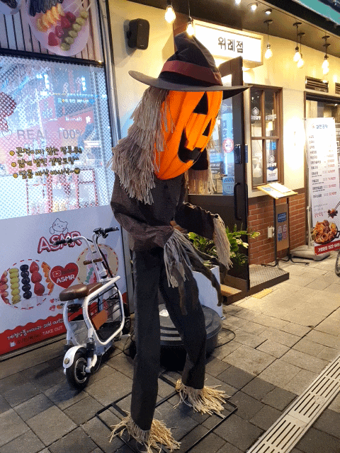  테스트 시러 가을당근+44