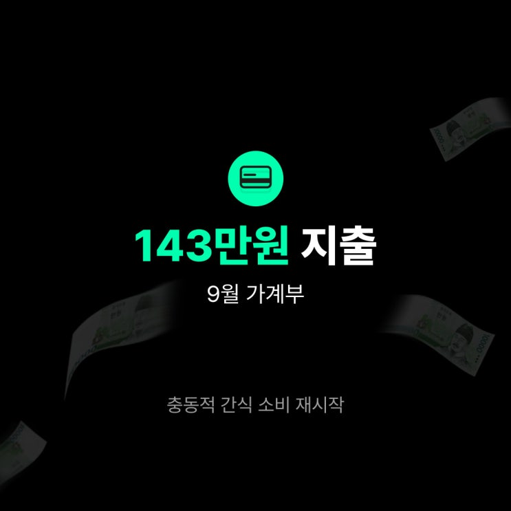  [20대 가계부/9월] 143만원 지출ㅣ충동적 간식 소비 재시작