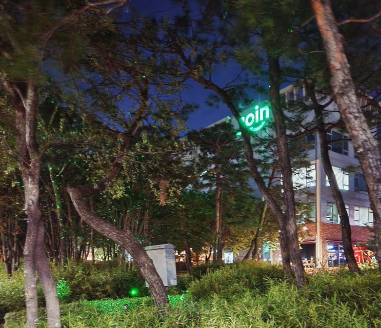오늘 밤은 술이 아닌 글로 취해보자 오늘 밤은 술이 아닌 글로 취해보자