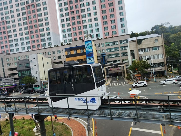  울산 여행 즐길거리 장생포 고래박물관 모노레일