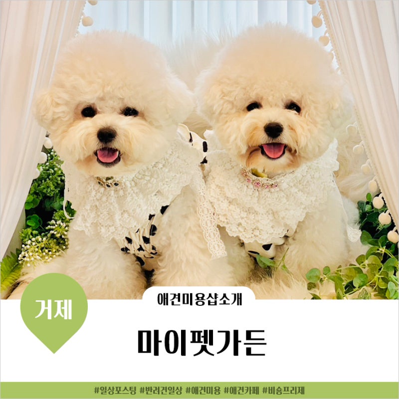 마이펫가든