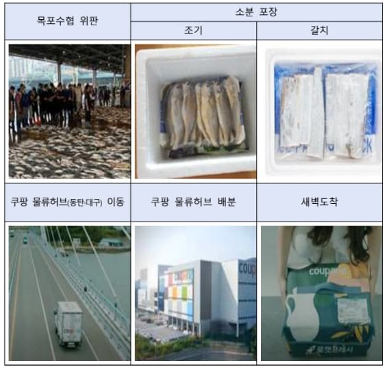  "싱싱한 갈치 참조기, 목포에서 새벽 배송으로" 