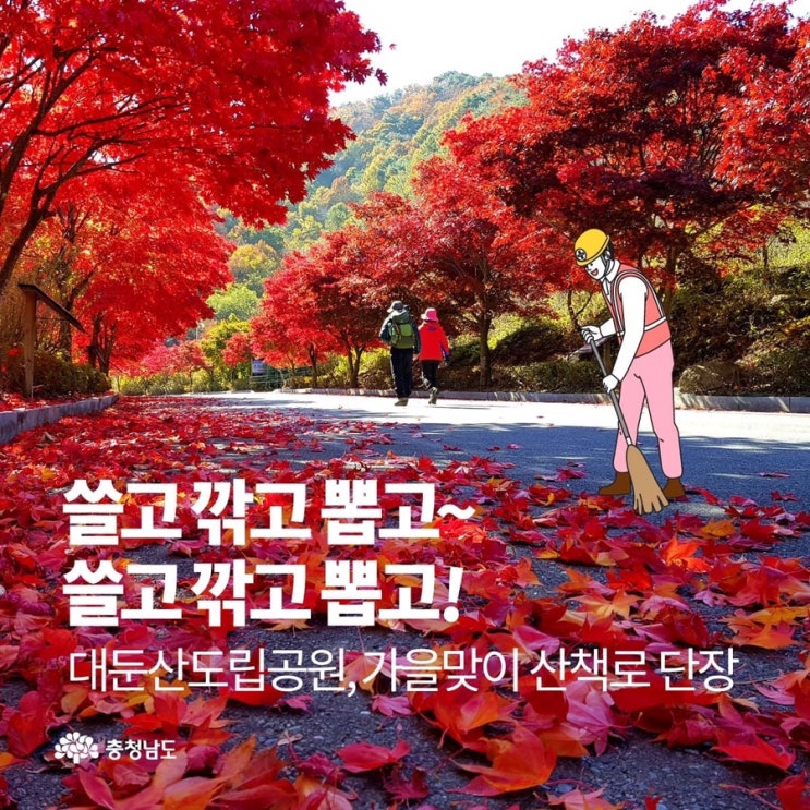 충남 가볼만한곳 대둔산도립공원 가을맞이 산책로 단장 | 충남도청페이스북