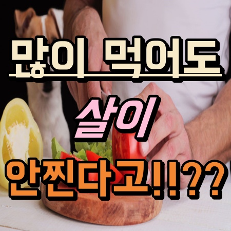  [영등포헬스장 / 영등포PT / 영등포에이블짐] : 많이 먹어도 살이 안 찐다고????