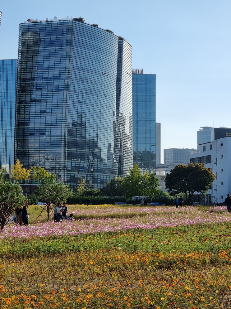 2022년 10월 둘째 주 일상 2022년 10월 둘째 주 일상