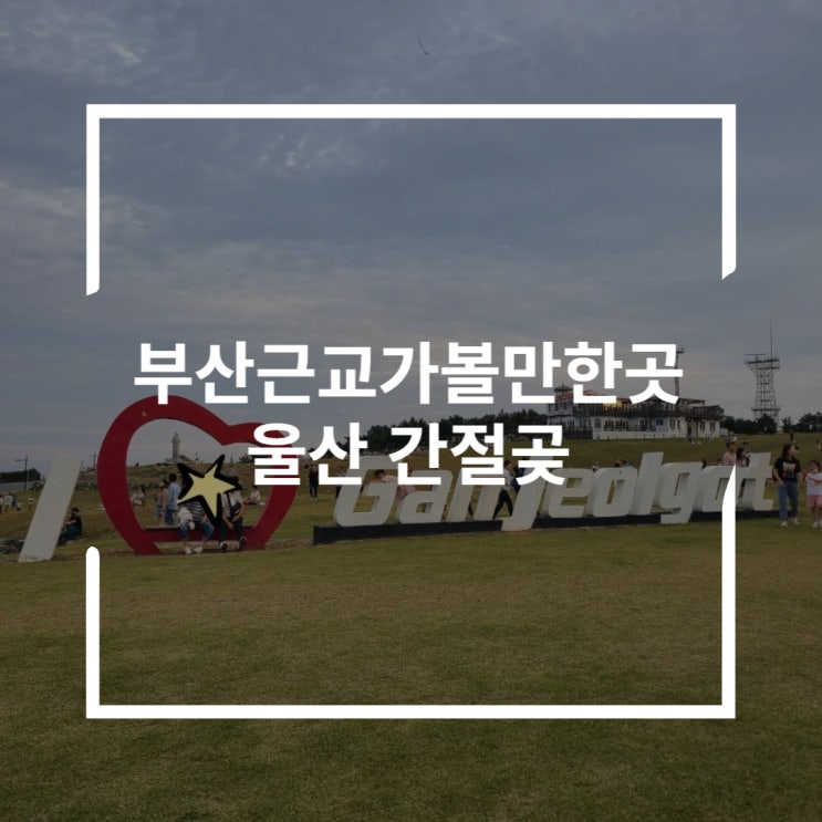  부산 근교 가볼만한곳 울산 간절곶에서 연날리기와 비눗방울