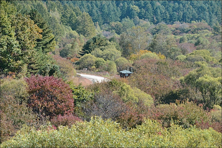  강원도 가을여행 당일코스