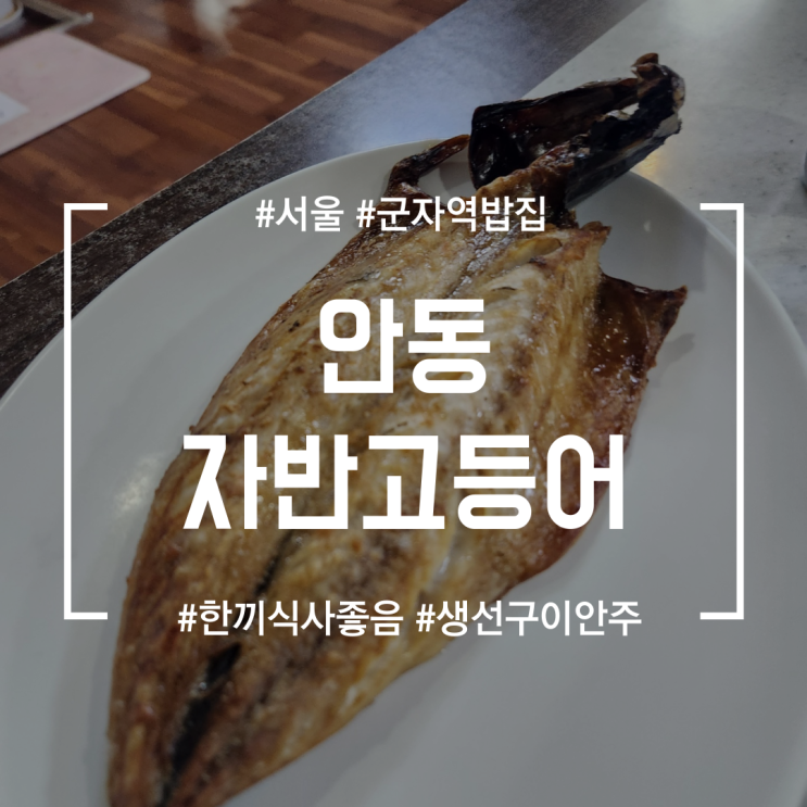 [군자역밥집] 간단히 저녁먹기 좋은 생선구이백반집