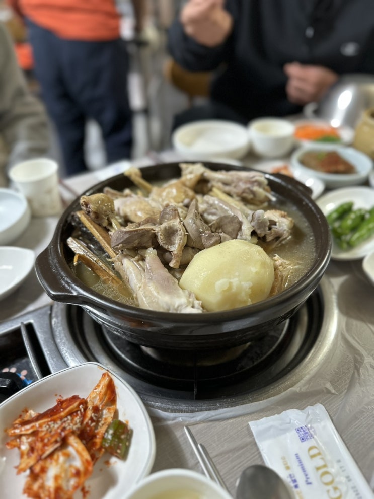  [양양]찐찐찐 현지인 옻닭맛집 범골토종닭