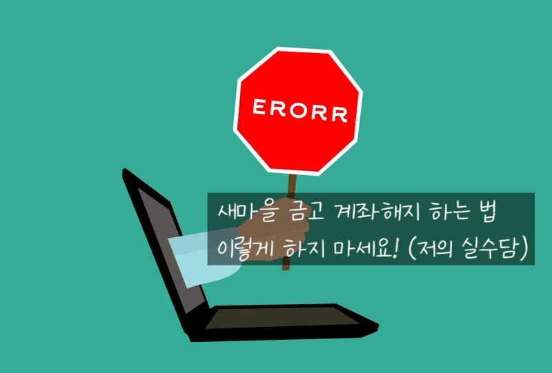 [이렇게 하지 마세요] 새마을 금고 계좌 개설 & 해지하는 법 (+ 상상 모바일 통장 전환)