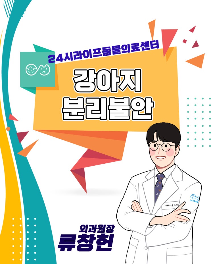 대구24시동물의료센터 : 강아지 분리불안, 이렇게 해결해보세요!