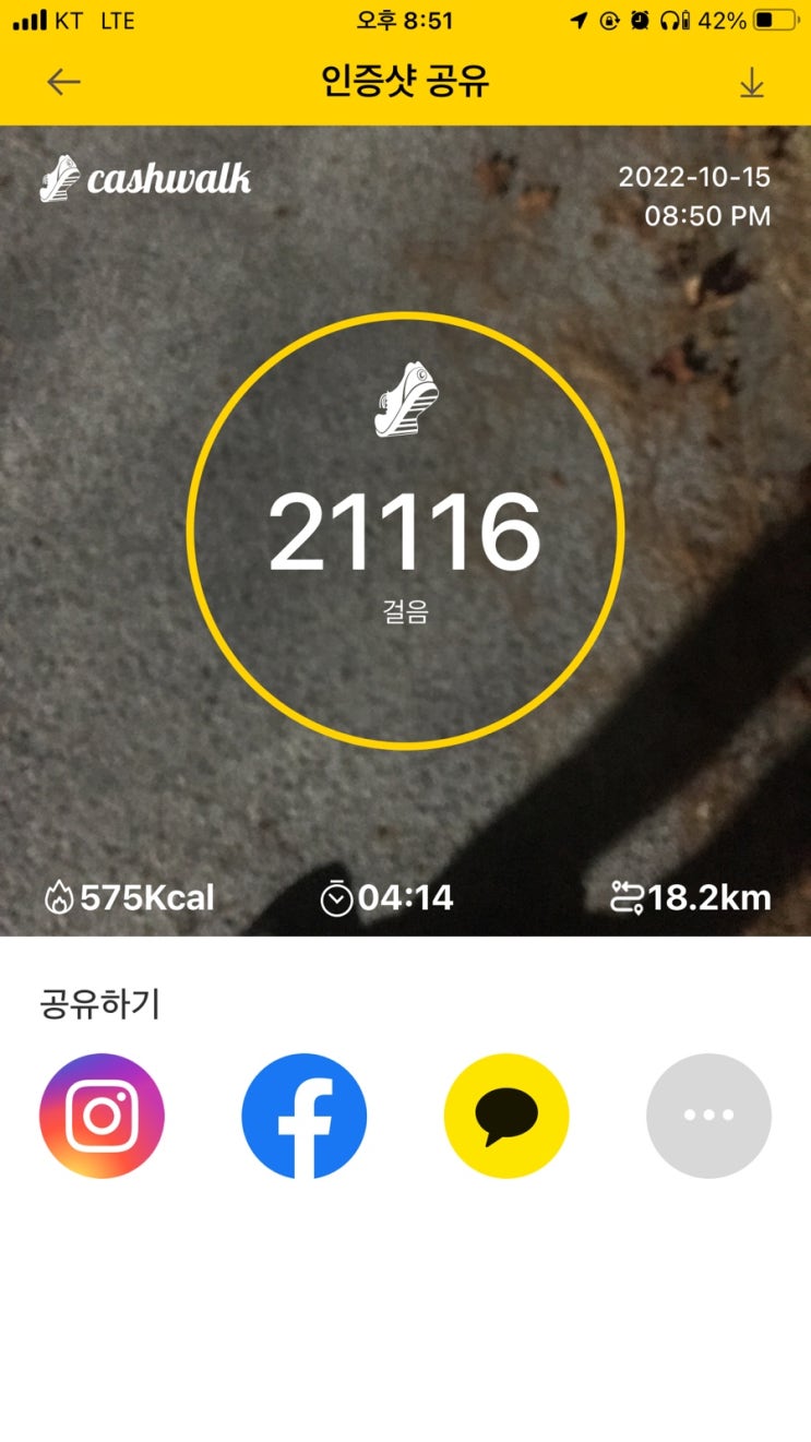오늘도 산책으로 만보 목표 달성 오늘도 산책으로 만보 목표 달성