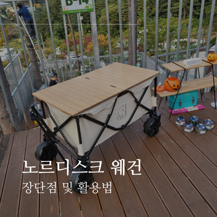  노르디스크 웨건 장단점 및 활용법